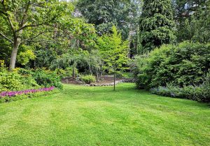 Optimiser l'expérience du jardin à Saint-Hilaire-Cusson-la-Valmitte